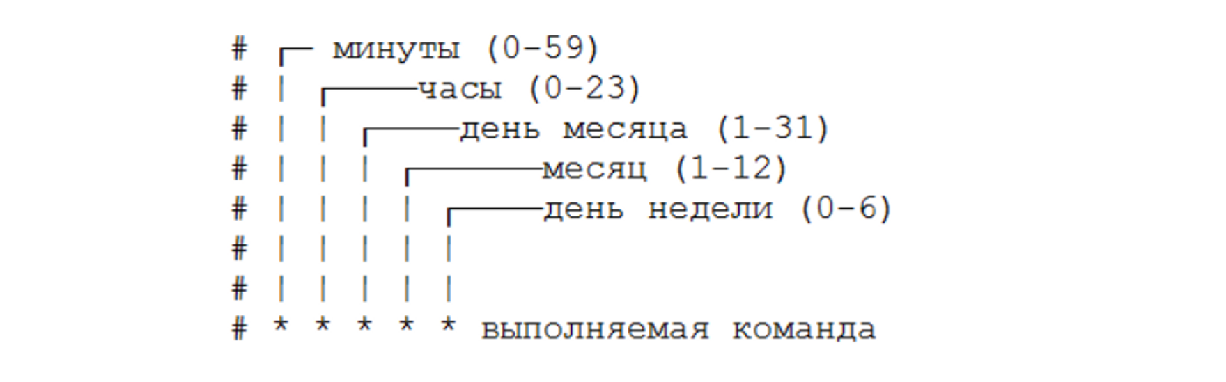Поля crontab
